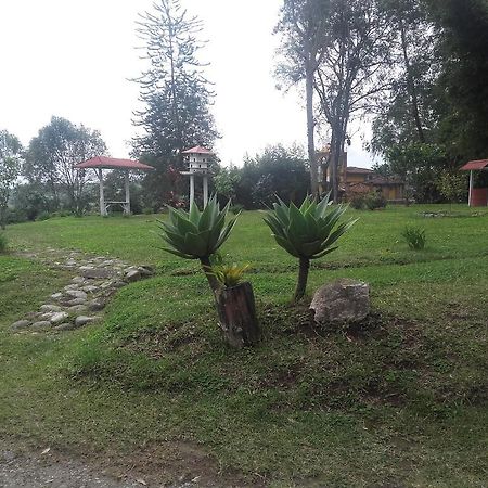 La Gaviota Bnb Bed & Breakfast Filandia Exterior photo