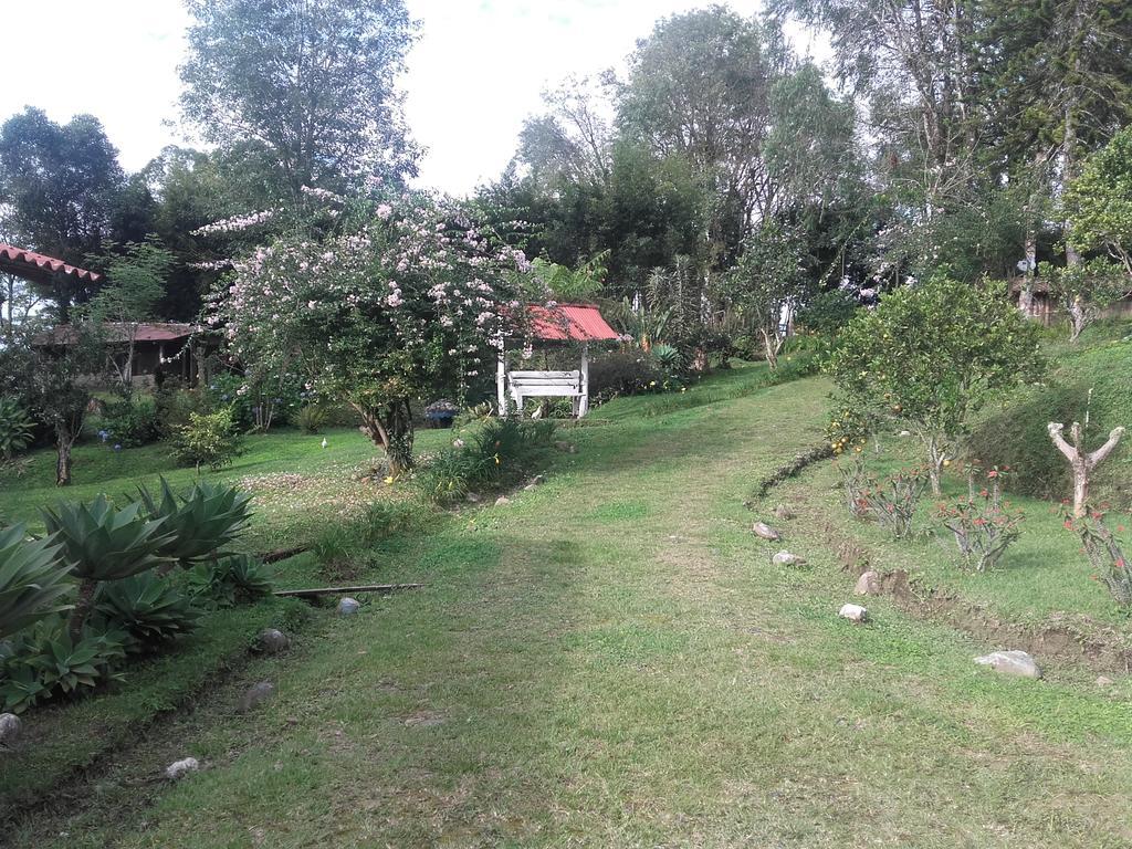La Gaviota Bnb Bed & Breakfast Filandia Exterior photo